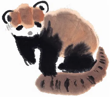 家禽美图jpg素材