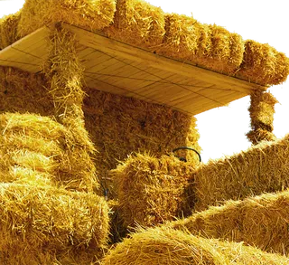 稻草屋现代农业