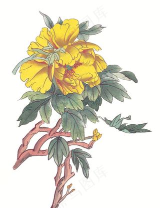 写意花卉设计素材