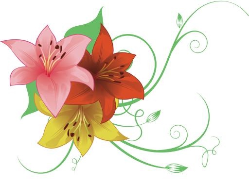 百合花免抠(6000x4446)