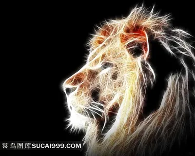 狮子头创意设计图片 狮子头创意设计图片