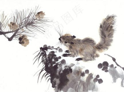 家禽艺术绘画素材