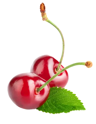 樱桃 (6)水果超市商品白底图免抠实物摄影png格式图片透明底