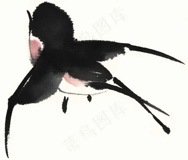 画鸟文化艺术jpg素材