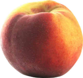 9_peach_PNG4876 9_peach_PNG4876