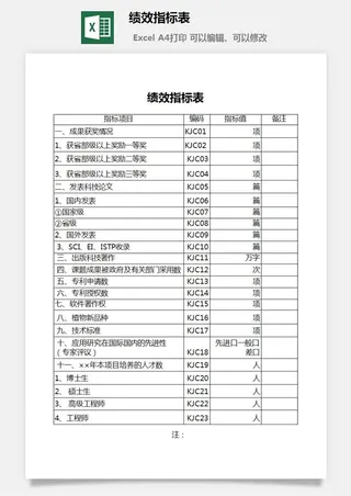 绩效指标表