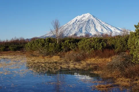 冬天白雪背景风景 冬天白雪背景风景