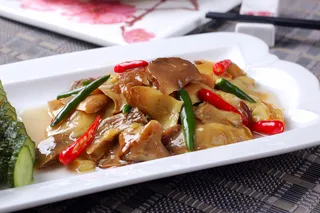 XCXC2230尖椒牛肝菌