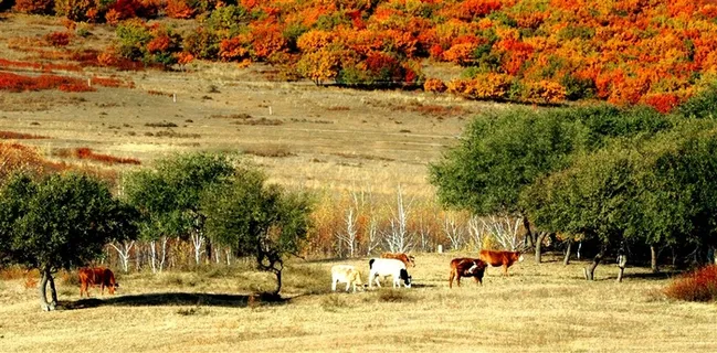 秋色风景自然景观图片