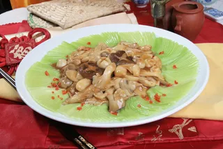 42西葫扒群菇－福华