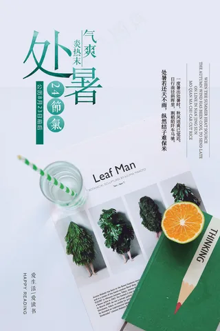 创意传统节气二十四节气处暑海报