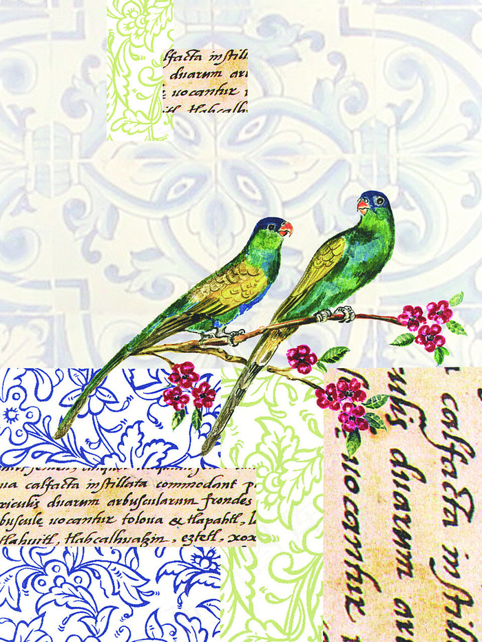 花鸟艺术时尚插画