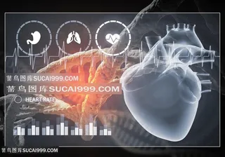心脏科学图片