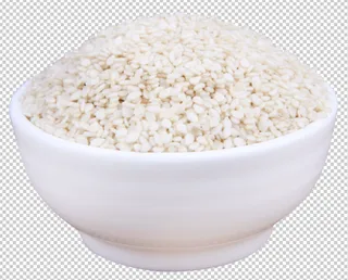 白芝麻免扣素材