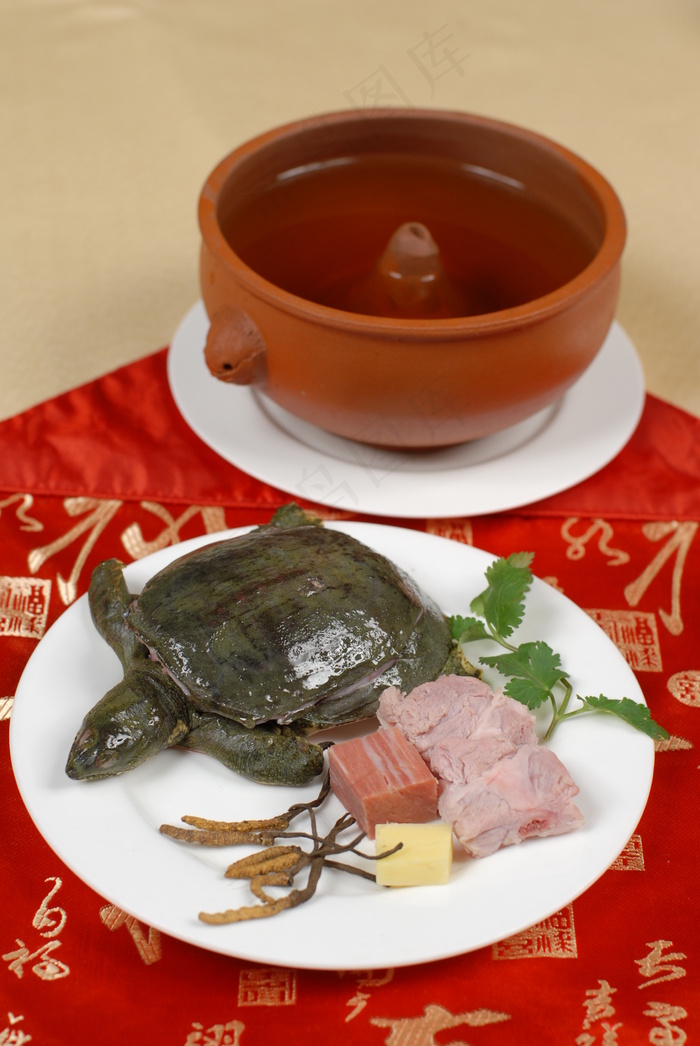  虫草炖甲鱼仔
