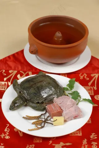  虫草炖甲鱼仔