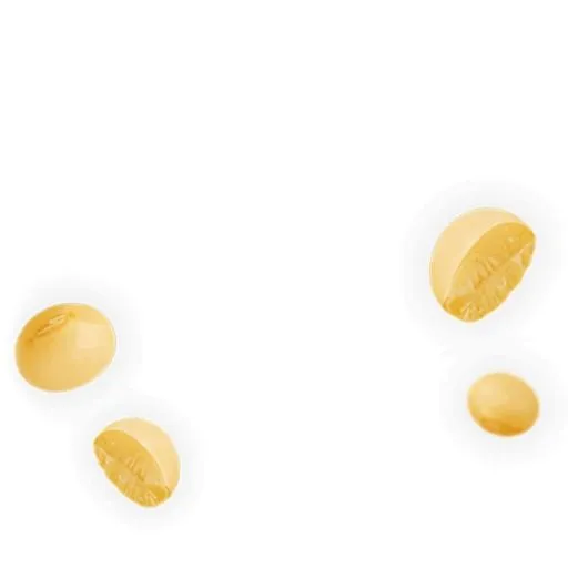 大豆 PNG免抠(800x800)