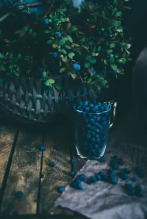 新鲜蓝莓果图片 新鲜蓝莓果图片