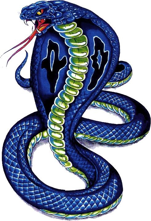 眼镜蛇 PNG免抠(491x717)