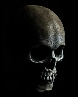 恐怖的死亡骷髅素材图 恐怖的死亡骷髅素材图