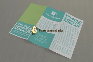 三折页宣传样机