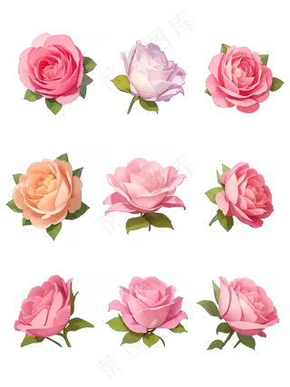 红色 粉色 手绘 免抠 PNG 玫瑰 花 素材18