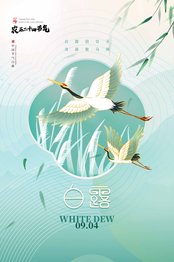 创意白露营销海报图片psd模版下载
