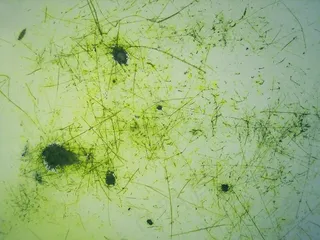 线条背景素材图片下载