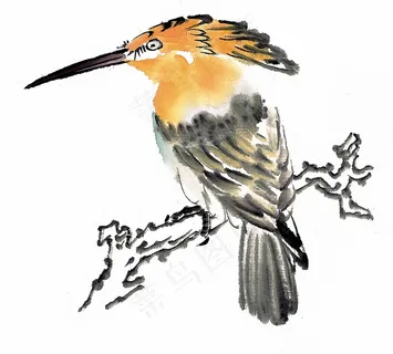 画鸟大图素材 画鸟大图素材