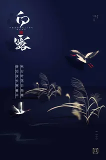 简约白露节气营销海报