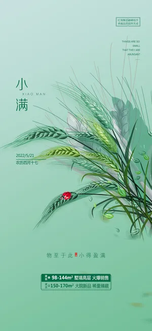 绿色中国风小满24节气海报