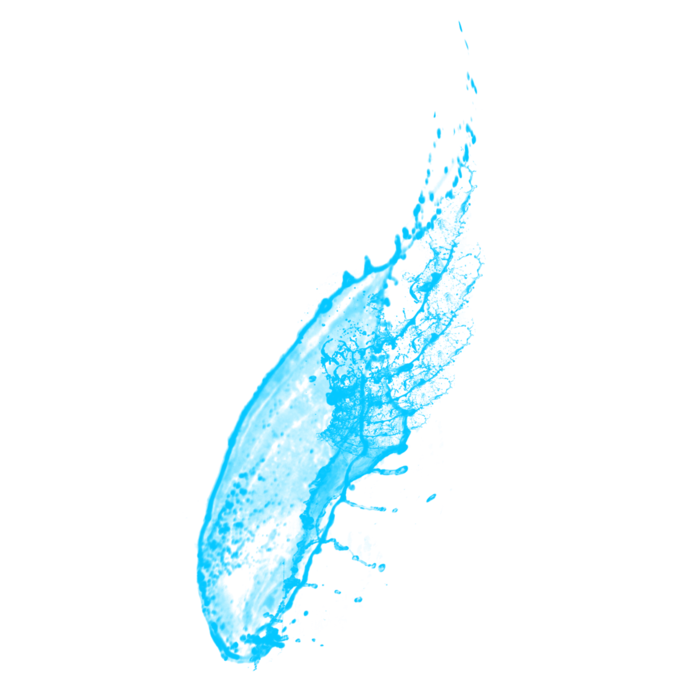 水花 水花翅膀