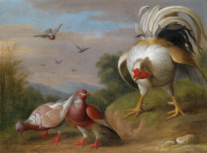 公鸡与鸽子美式油画