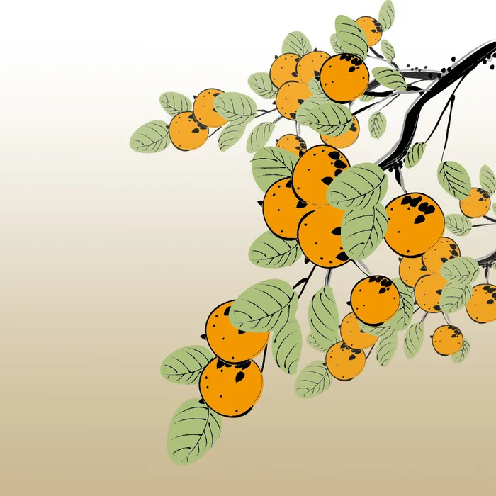 国画枇杷柿子橘子psd模版下载