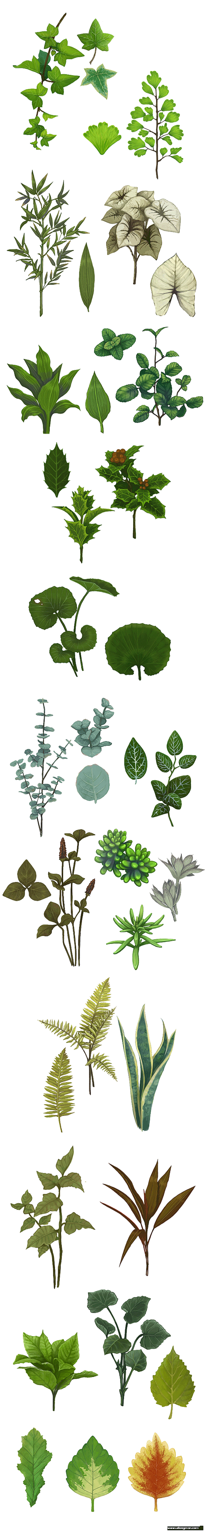 各种 植物 装饰 素材 免扣
