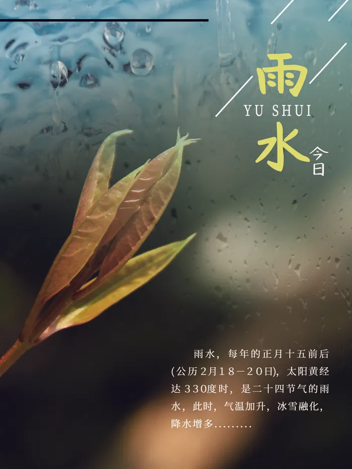 创意24节日二十四节气雨水春节春天宣传祝福海报模板PSD设计素材psd模版下载