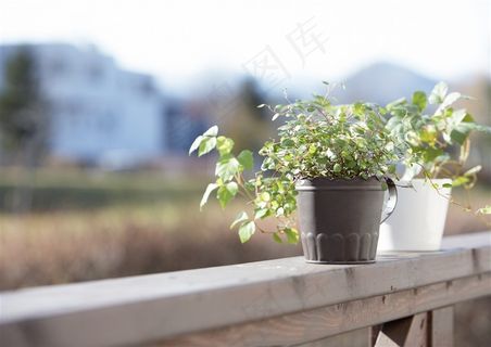 高清清新简约简洁家居室内休闲生活背景 高清清新简约简洁家居室内休闲生活背景