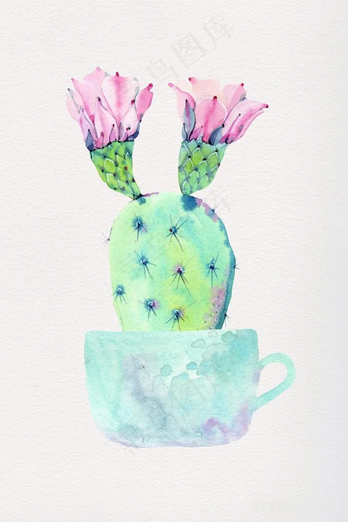 手绘时尚仙人掌花卉插画