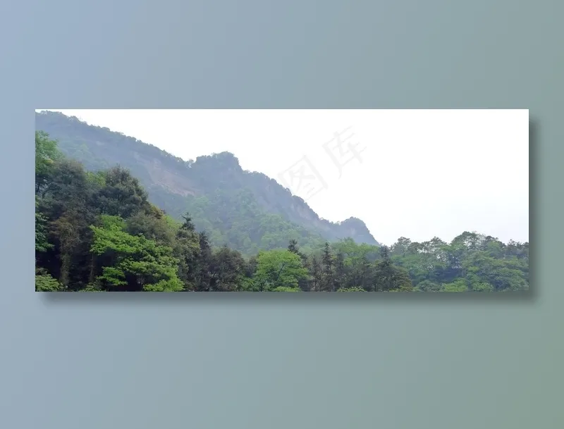 天空下山脉前的树林