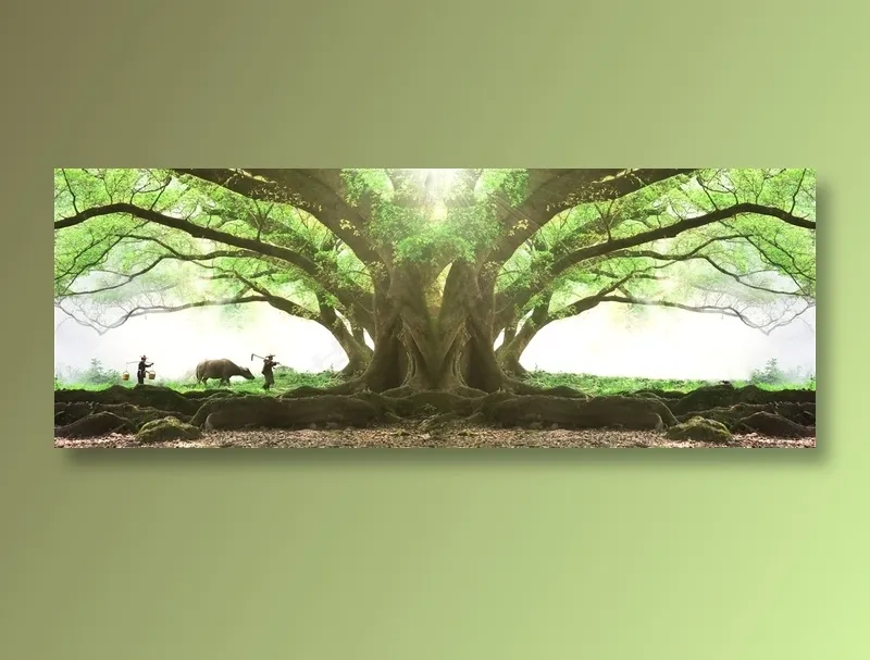 森林大树背景
