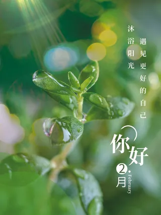 24节气立春春季新春春天海报模板PSD分层设计素材源文件模板