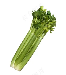 芹菜摄影高清图片 芹菜摄影高清图片
