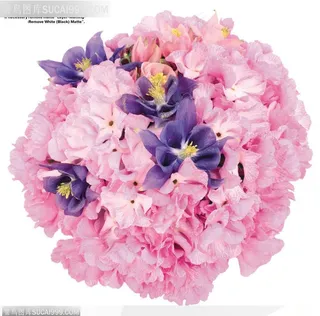 花艺花束-漂亮的圆形花盘