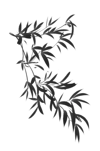 竹子水墨画中国风国画墨水书法竹子画