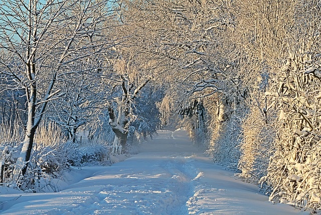 冬天白雪背景风景