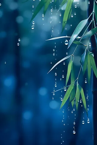 树叶蓝色雨滴简约清新背景