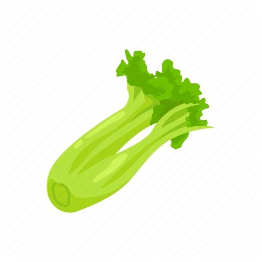 芹菜 PNG免抠(512x512)