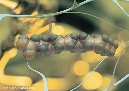 生化科技-细胞分子