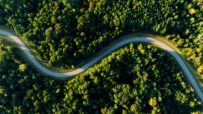 高清森林树林道路