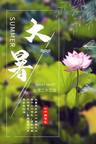 传统节气大暑海报